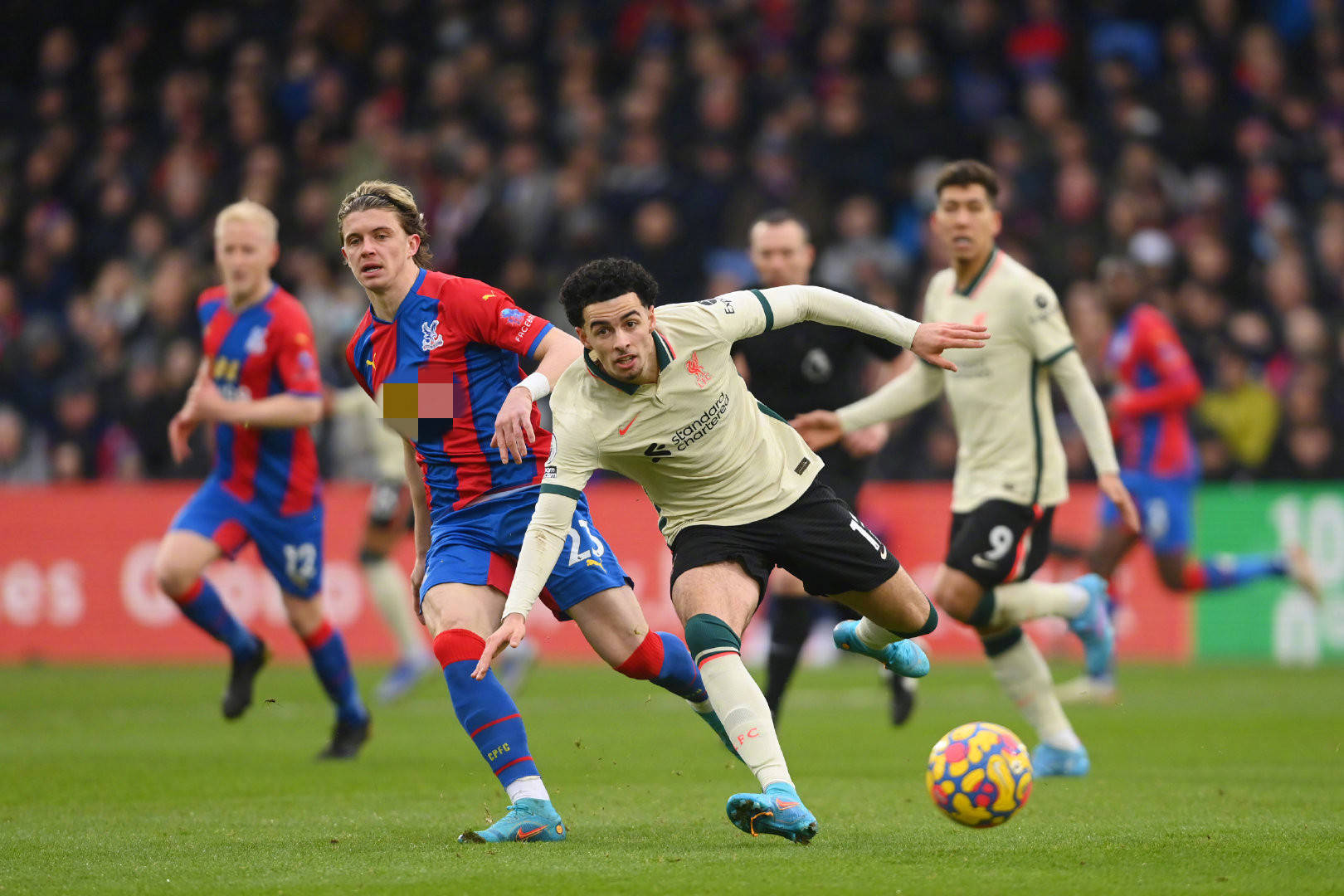 則展示了 則展示了